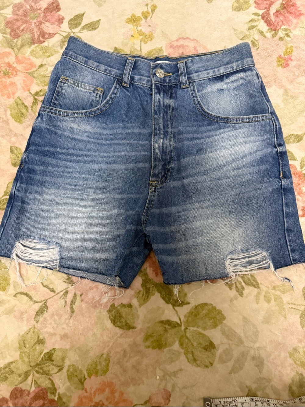 Anine Bing Denim Cut Off Shorts Size 25